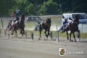 Predsednik Pahor na kasaških dirkah v Ljutomeru 8
